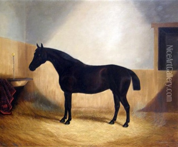 Bay Horse In A Stable (study) Oil Painting - James Clark