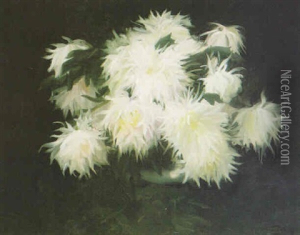 Chrisanthemums Oil Painting - Stuart James Park