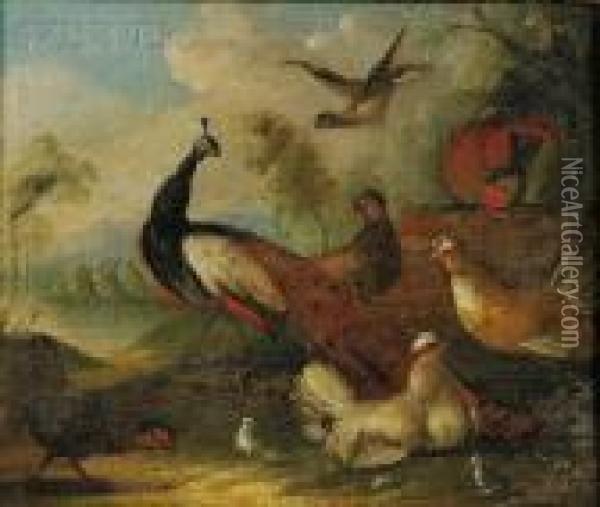 Birds In A Landscape Oil Painting - Melchior de Hondecoeter