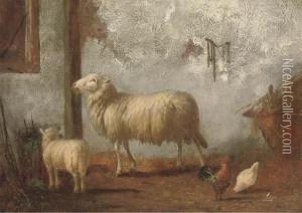 Sheep In The Stable Oil Painting - Pieter Plas