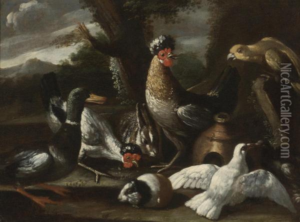 A Parrot, Chickens, A Duck And Turtledoves, Together With A Rabbit And A Guinea Pig In A Landscape Oil Painting - Melchior de Hondecoeter