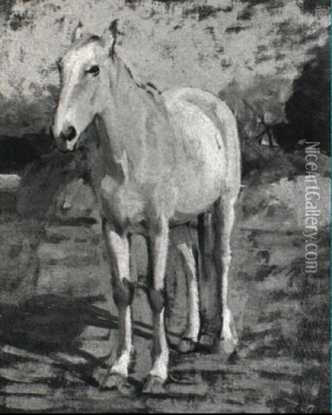 Cavallo Bianco Oil Painting - Luigi Gioli