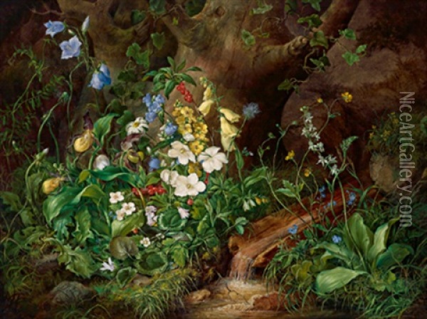 Groses Alpenblumenstilleben Mit Schneerosen, Glockenblumen, Frauenschuh Und Weisen Wild Cyclamen Oil Painting - Franz Xaver Petter