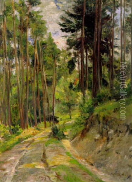 Waldweg Oil Painting - Theodor Joseph Hagen