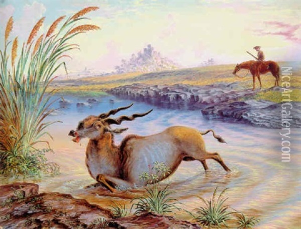 Eland Killed In Mangwe River, Matabili Land, August 5 1871 Oil Painting - John Thomas Baines