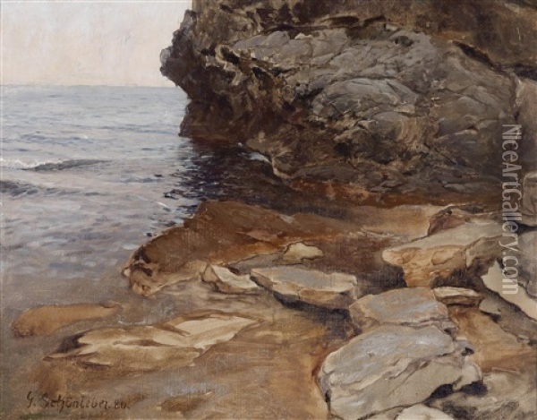 Felsufer Nervi Oil Painting - Gustav Schoenleber