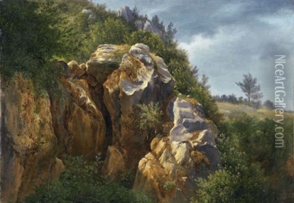 Rochers (rocks) Oil Painting - Francois Diday