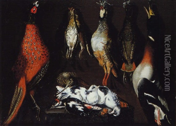Nature Morte Avec Un Faisan, Des Perdrix, Un Canard Et Des Pigeons Sur Un Entablement Oil Painting - Alessandro de Loarte