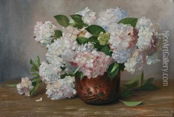 Hortensia's Oil Painting - Piet Johannes Cottaar