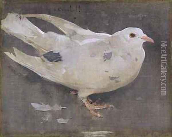 The Pigeon Oil Painting - Joseph Crawhall