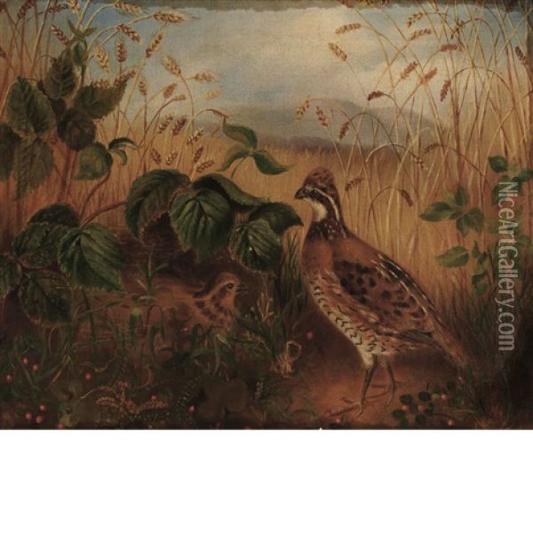 Grouse In Wheatfield Oil Painting - Mary Jane Peale