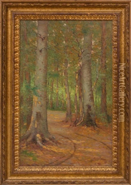 Forest Path Oil Painting - Cullen Yates