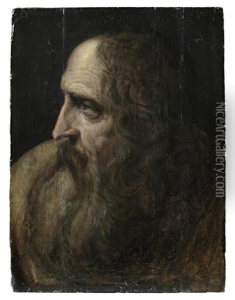 An Old Man, In Profile (study) Oil Painting - Jacob Adriaensz de Backer