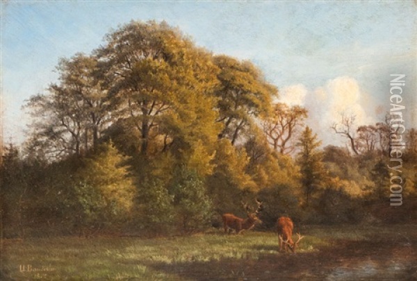 Deers By The Edge Of The Wood Oil Painting - Ulrich Baudissin