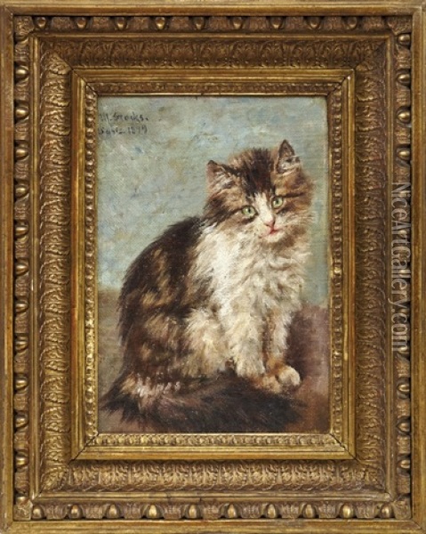 Junge Katze Oil Painting - Minna Stocks