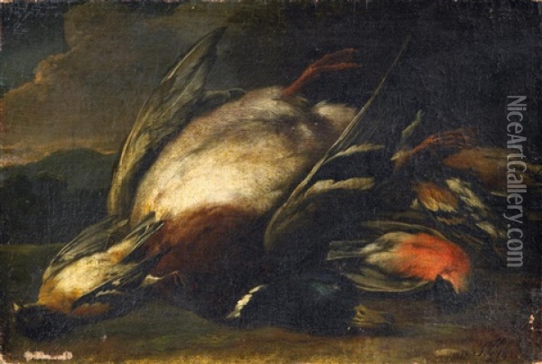 Jagdstilleben Mit Erlegter Ente Und Singvogeln Oil Painting - Jan Fyt