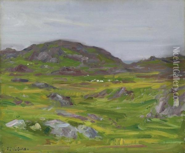 The Uplands Of Iona Oil Painting - Francis Campbell Boileau Cadell