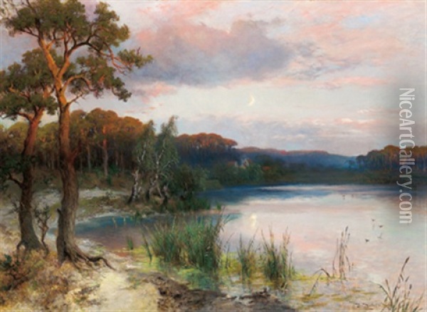 Seelandschaft Oil Painting - Heinrich Hiller