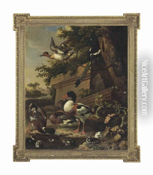 Sheldrake Ducks And Ducklings With A Magpie In A Garden, A Village Beyond Oil Painting - Melchior de Hondecoeter