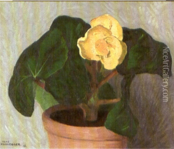 Gelbe Begonie Oil Painting - Hans Emmenegger