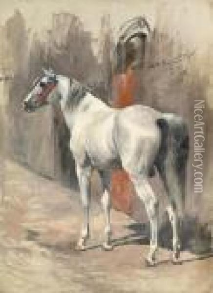A Grey Arabian Stallion Oil Painting - Wilhelm Kuhnert