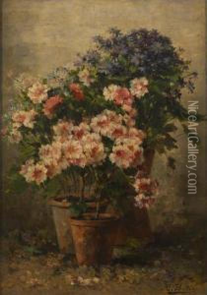 Pelargoniums Et Asters Enfleurs Oil Painting - Hubert Bellis