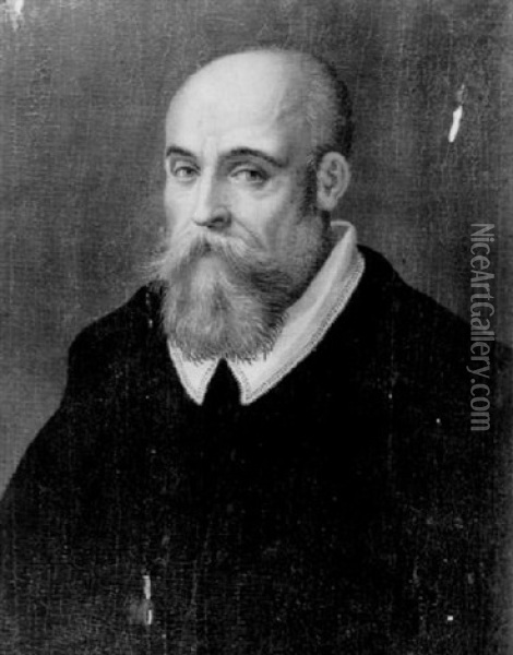 Portrait Of A Bearded Man Wearing A Black Jacket With A White Collar Oil Painting - Lavinia Fontana