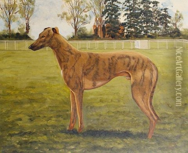 Portrait Of The Champion Greyhound Captain Pike Oil Painting - Henry Harris