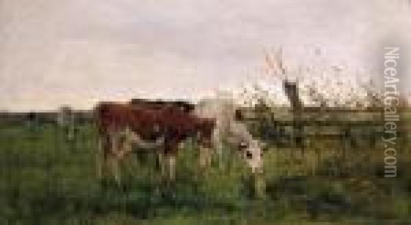 Cows Grazing Oil Painting - Anton Mauve