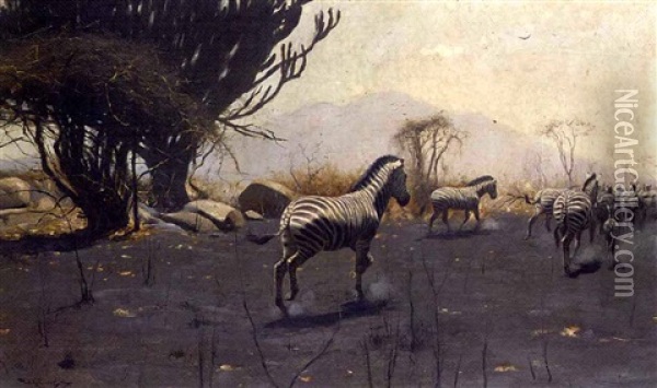 Zebra Oil Painting - Wilhelm Friedrich Kuhnert