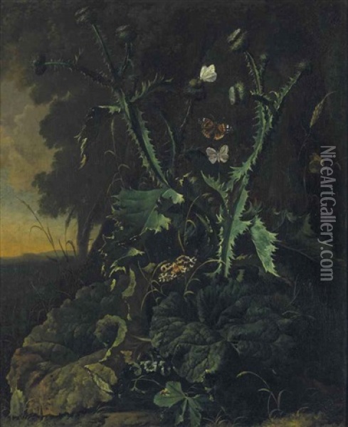 Nature Morte Aux Chardons Et Aux Papillons Oil Painting - Abraham Jansz. Begeyn