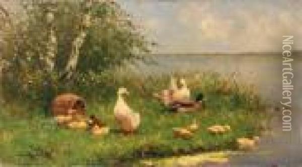 Ducks And Ducklings On A Sunlit Riverbank Oil Painting - David Adolf Constant Artz