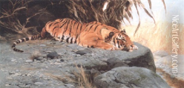 A Tigress Watching For Prey Oil Painting - Wilhelm Friedrich Kuhnert