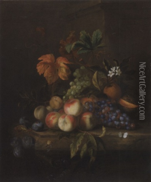 Peaches, Grapes, A Melon, Orange Blossom With An Orange, Plums, A Butterfly And A Snail, On A Marble Table Oil Painting - Jakob Bogdani