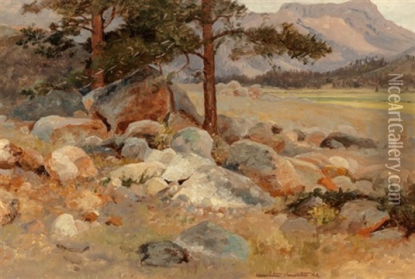 Rocky Pasture Oil Painting - Hamilton Hamilton