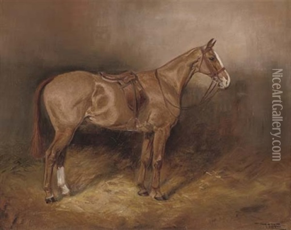 A Bay Hunter In A Stable (+ A Saddled Chestnut Hunter In A Stable; Pair) Oil Painting - Thomas Ivester Lloyd