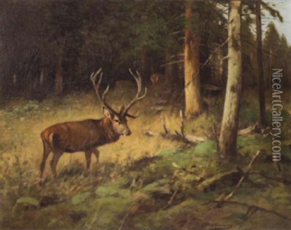 Hirsch Am Waldrand Oil Painting - Christoffer Johann Drathmann