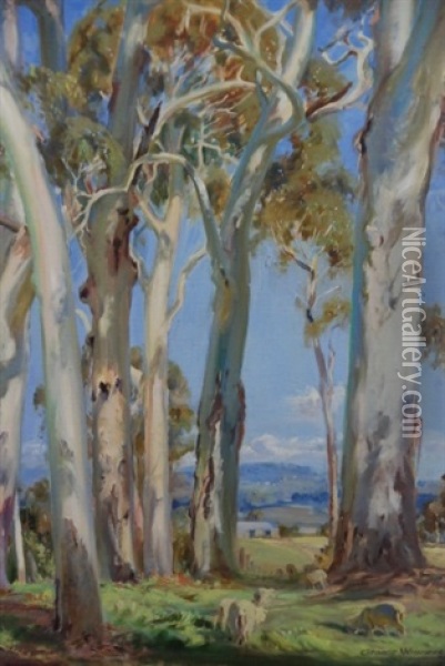White Gum Trees Woodhouse Estate Oil Painting - George Whinnen