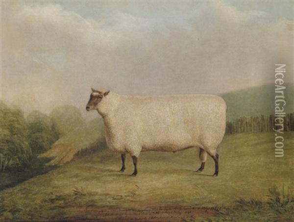 A Prize Ram Bred By Mr. William Sainsbury Oil Painting - James (of Bath) Loder