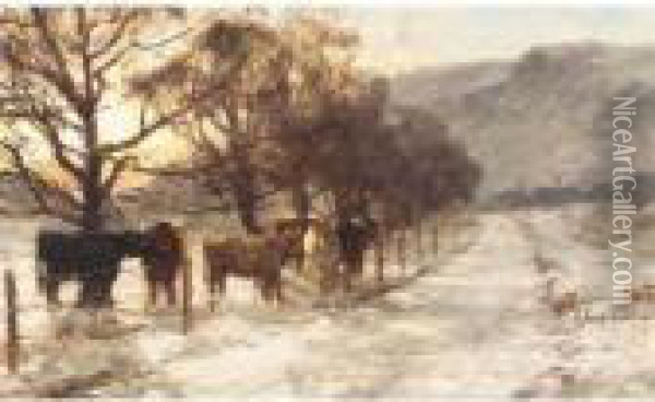 Cattle In Winter Oil Painting - David Farquharson