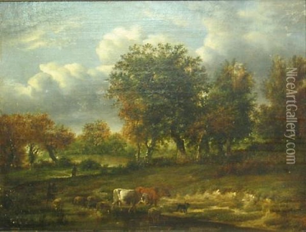 A Wooded Landscape With Cattle And Sheep Watering Oil Painting - Jacob Van Ruisdael