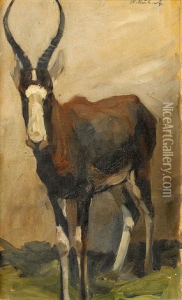 Antilope Oil Painting - Wilhelm Friedrich Kuhnert