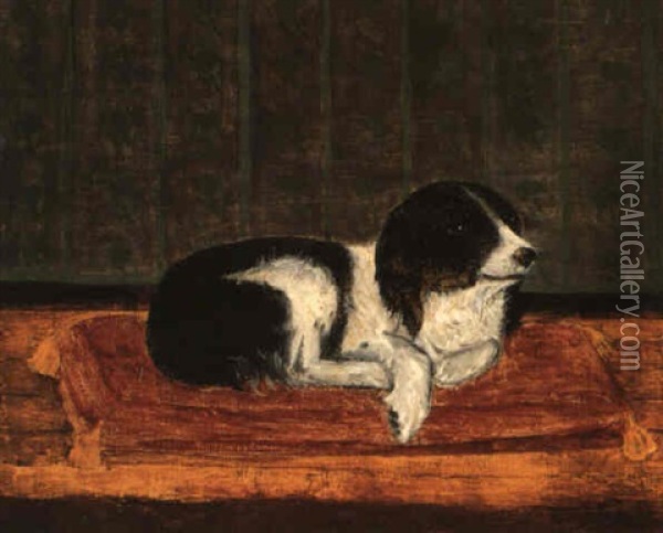 Chien Couche Sur Son Coussin Oil Painting - Henri Rousseau