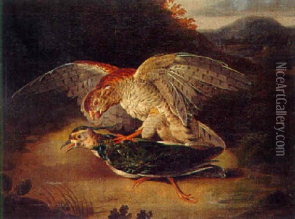 A Sparrowhawk With Prey Oil Painting - Stephen Elmer