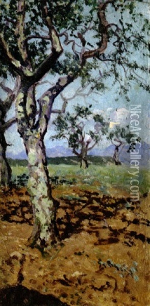 Ulivi Oil Painting - Adolfo Belimbau