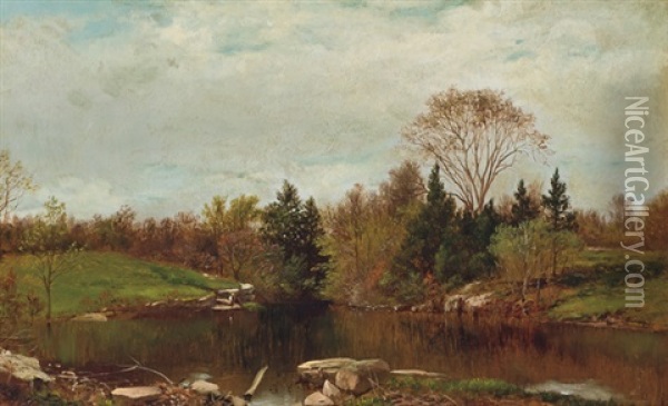 Spring-a Study On The Bronx At Mt. Vernon Oil Painting - David Johnson