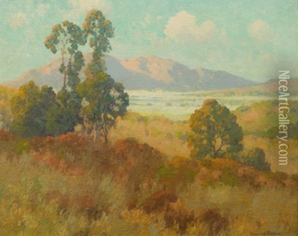 Valley In Summer Oil Painting - Maurice Braun