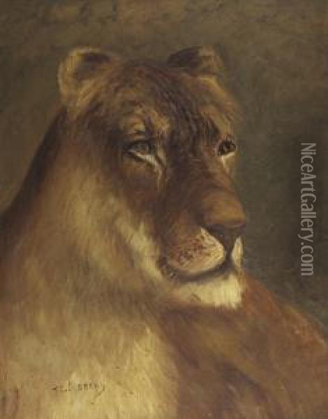 Lioness Oil Painting - Thomas Corwin Lindsay