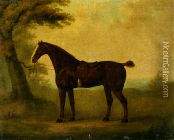 A Cob, Belonging To King George Iii Oil Painting - John Nost Sartorius