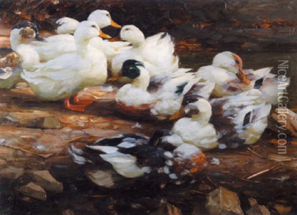 Lagernde Enten In Der Abendsonne Oil Painting - Alexander Max Koester